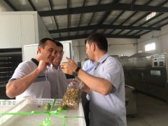 哈萨克斯坦客户猕猴桃干燥案例